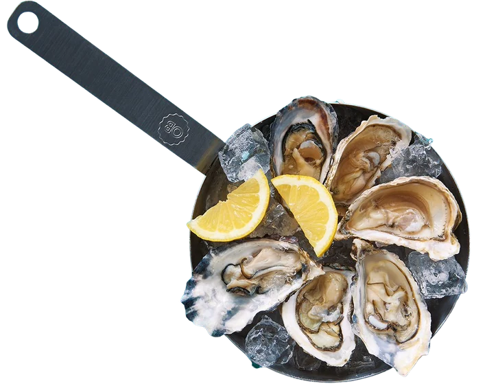 Oysters