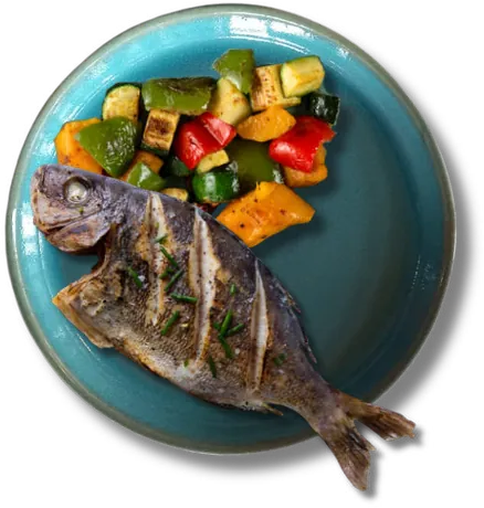 Cape Sea Bream