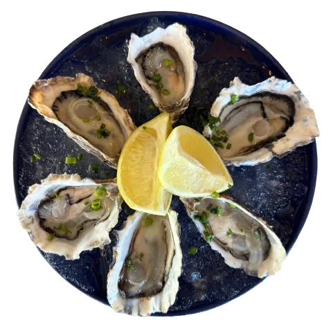 Oysters