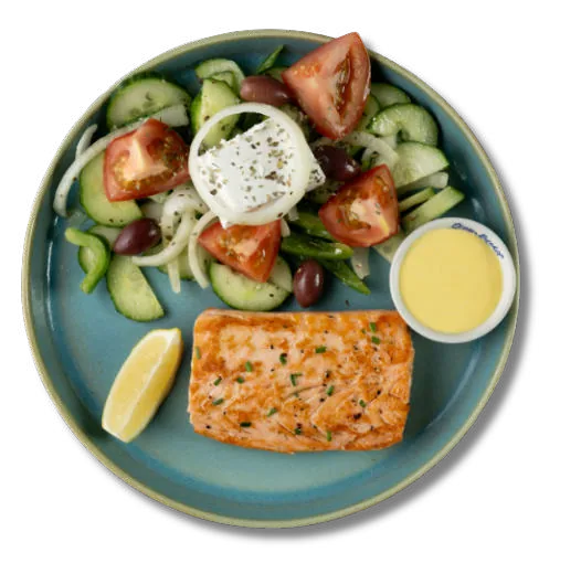Salmon