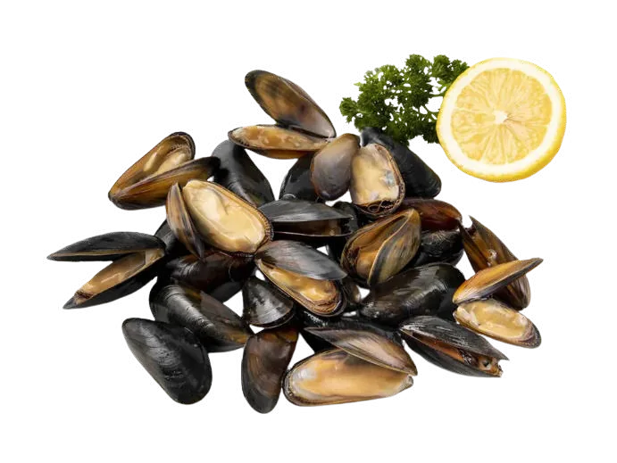 Whole Shell Mussel Prep